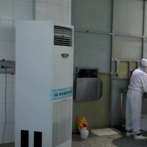 秦皇岛食品正负离子空气杀菌器